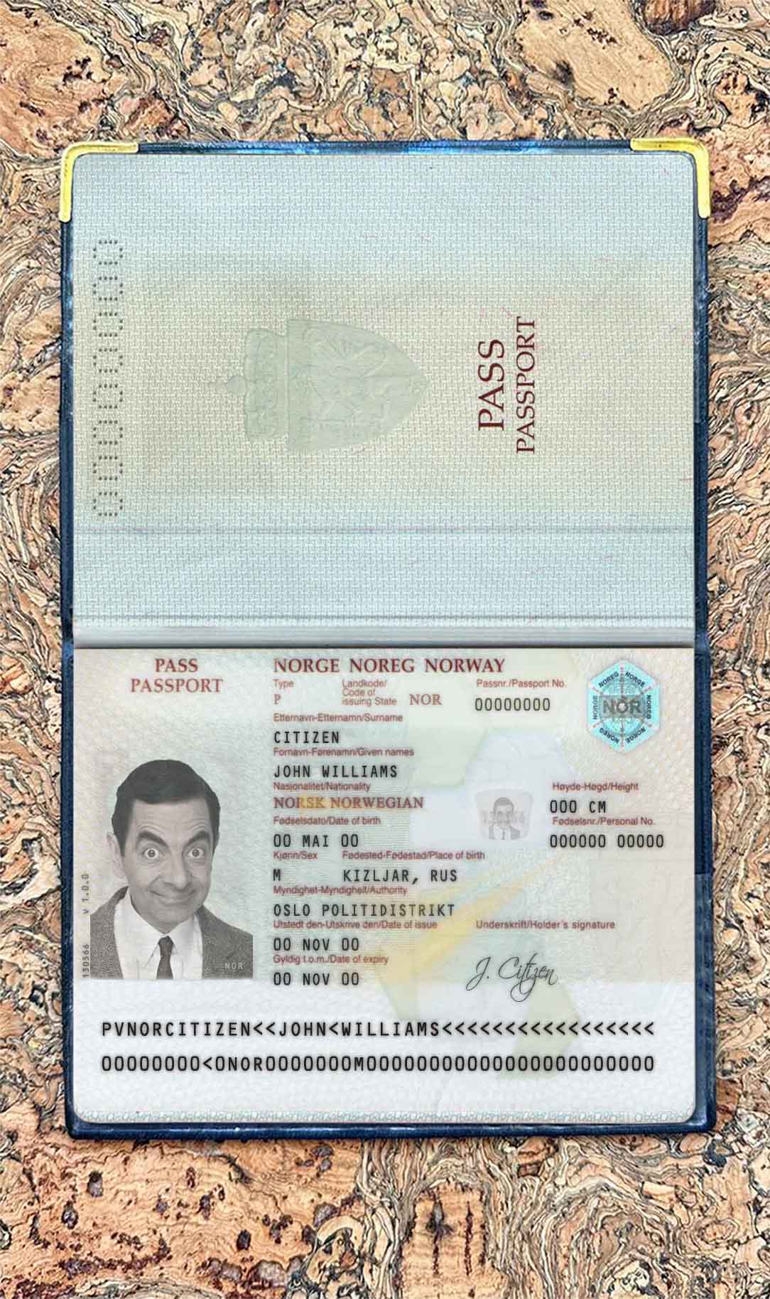 Norway passport photo look PSD template